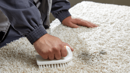 Professional Rug Cleaning Bedford Road